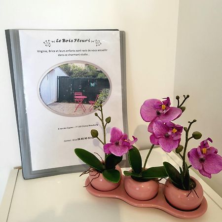 Maison Studio Le Bois Fleuri Croissy-Beaubourg Екстериор снимка